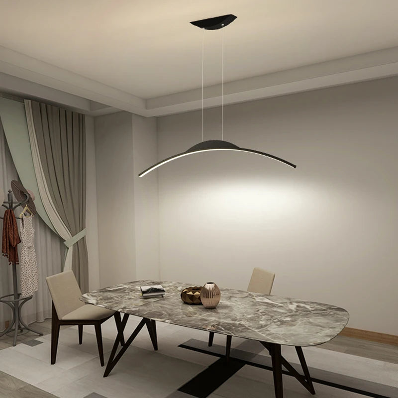 Simple Design Ceiling Pendant Lamp