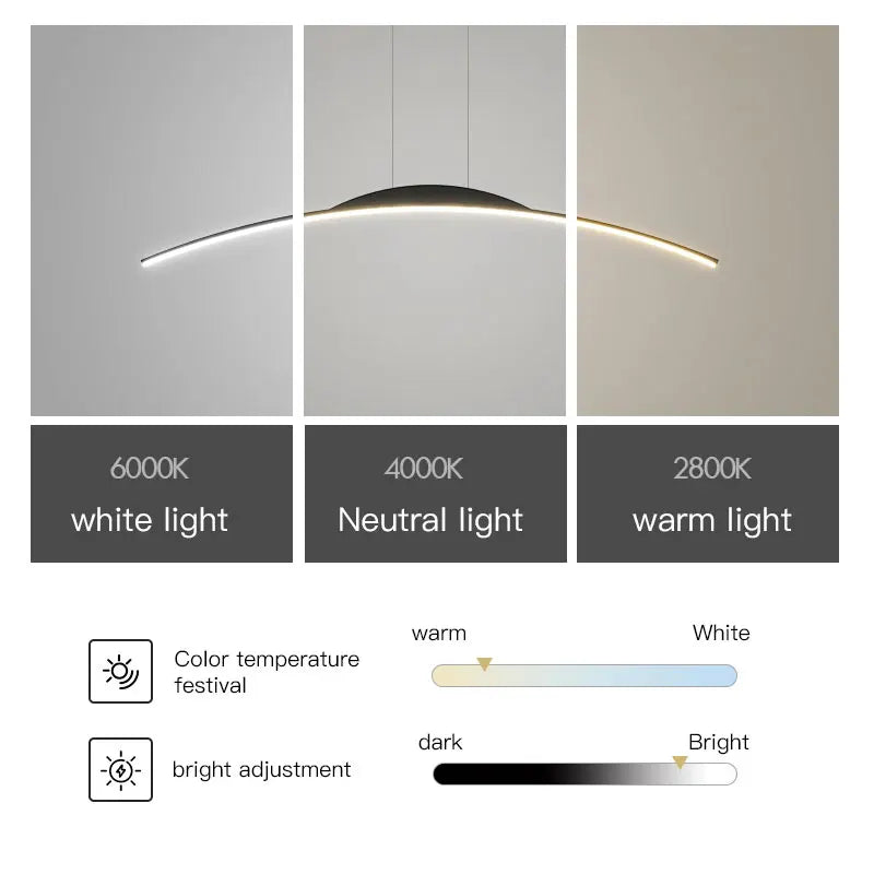 Simple Design Ceiling Pendant Lamp