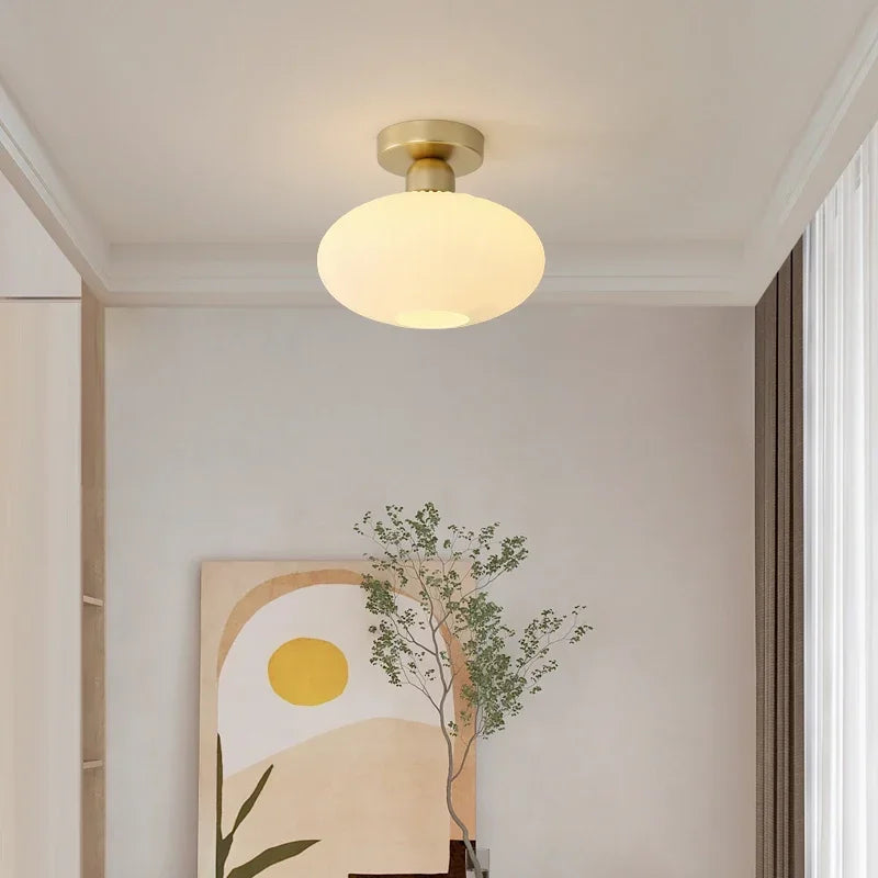 Modern LED Ceiling Light Chandelier Lamp for Living Room Kitchen Bedroom Hallway Entryway Study Simple Lustre Indoor Lighting